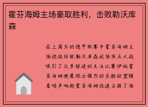 霍芬海姆主场豪取胜利，击败勒沃库森