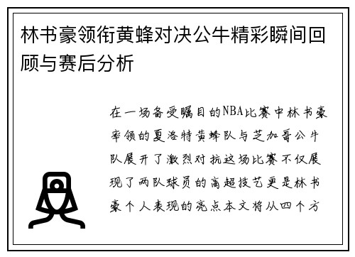 林书豪领衔黄蜂对决公牛精彩瞬间回顾与赛后分析
